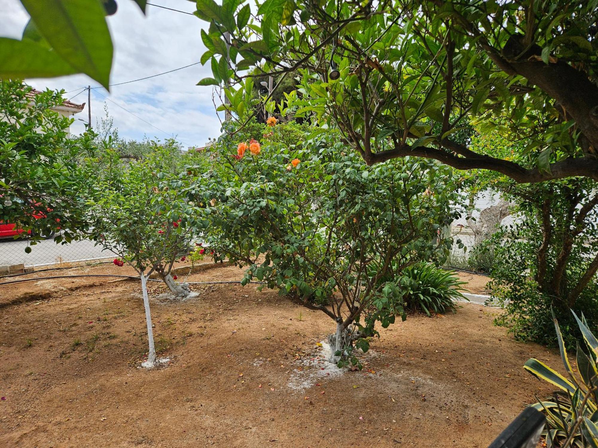 Melograno Markópoulon Exterior foto