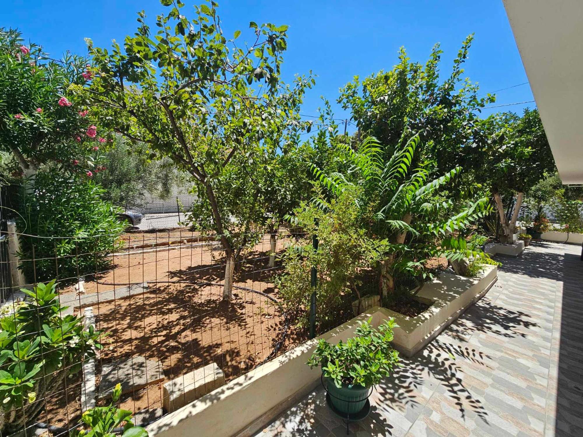 Melograno Markópoulon Exterior foto