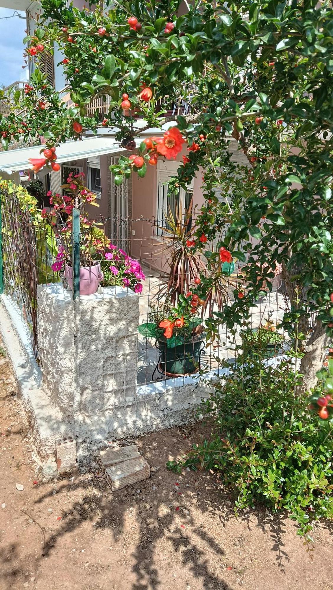 Melograno Markópoulon Exterior foto