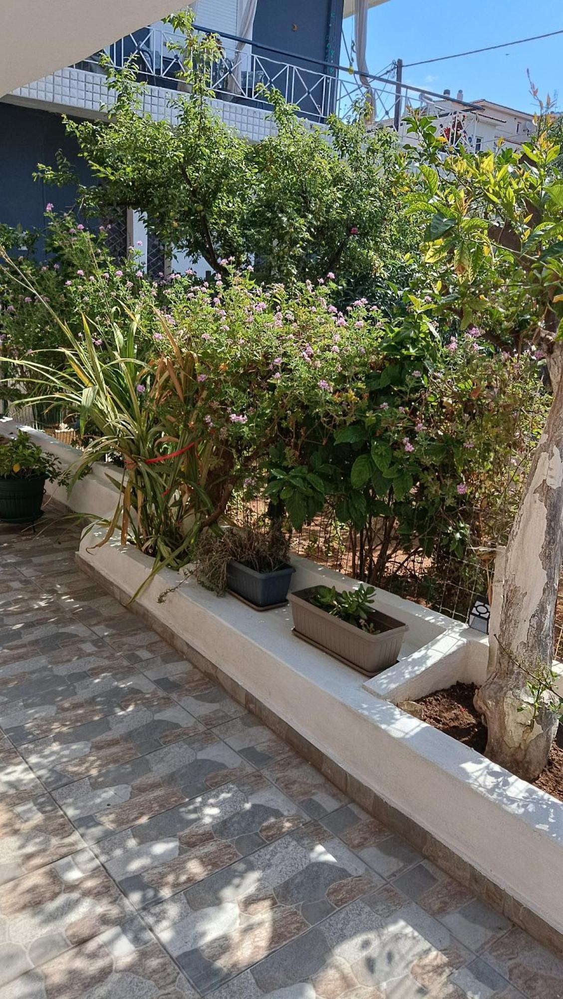 Melograno Markópoulon Exterior foto